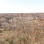 screen-shot-2015-12-24-at-8-43-47-am-921×517