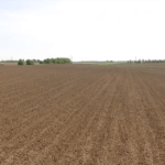 screen-shot-2016-06-16-at-2-58-28-pm-921×517