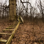 Land for Sale LandCo Peoria County 80 Acres-11