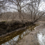 Land for Sale LandCo Peoria County 80 Acres-10