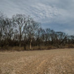 Land for Sale LandCo Peoria County 80 Acres-5