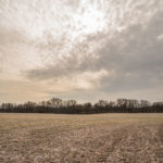 Land for Sale LandCo Peoria County 80 Acres-4