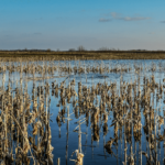 Land for Sale LandCo Farmland for Sale 2017-04-21 at 1.08.39 PM