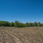 landco 17 acres for sale in knox county illinois-9