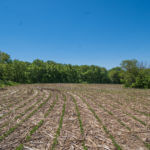 landco 17 acres for sale in knox county illinois-10