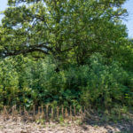 landco 17 acres for sale in knox county illinois-14