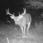 Land for Sale LandCo Farmland for Sale 2017-10-16 at 9.06.57 AM