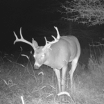 Land for Sale LandCo Farmland for Sale 2017-10-16 at 9.07.03 AM