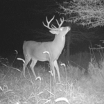 Land for Sale LandCo Farmland for Sale 2017-10-16 at 9.07.09 AM