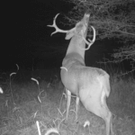 Land for Sale LandCo Farmland for Sale 2017-10-16 at 9.07.15 AM