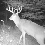 Land for Sale LandCo Farmland for Sale 2017-10-16 at 9.07.22 AM