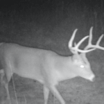 Land for Sale LandCo Farmland for Sale 2017-10-16 at 9.08.55 AM