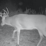 Land for Sale LandCo Farmland for Sale 2017-10-16 at 9.09.00 AM