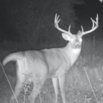 Land for Sale LandCo Farmland for Sale 2017-10-16 at 9.09.05 AM