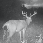 Land for Sale LandCo Farmland for Sale 2017-10-16 at 9.09.13 AM