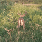 Land for Sale LandCo Farmland for Sale 2017-10-16 at 9.09.18 AM