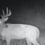 Land for Sale LandCo Farmland for Sale 2017-10-16 at 9.09.41 AM