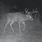 Land for Sale LandCo Farmland for Sale 2017-10-16 at 9.09.53 AM