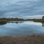 Knox County 700 Acres Land for Sale LandCo-2