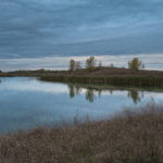 Knox County 700 Acres Land for Sale LandCo-3