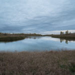 Knox County 700 Acres Land for Sale LandCo-4