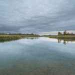 Knox County 700 Acres Land for Sale LandCo-5