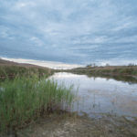 Knox County 700 Acres Land for Sale LandCo-8