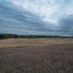 Knox County 700 Acres Land for Sale LandCo-11