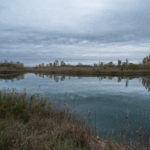 Knox County 700 Acres Land for Sale LandCo-12