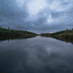 Knox County 700 Acres Land for Sale LandCo-16