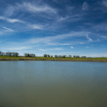 Land for Sale LandCo Farmland for Sale 2017-10-10 at 12.44.12 PM