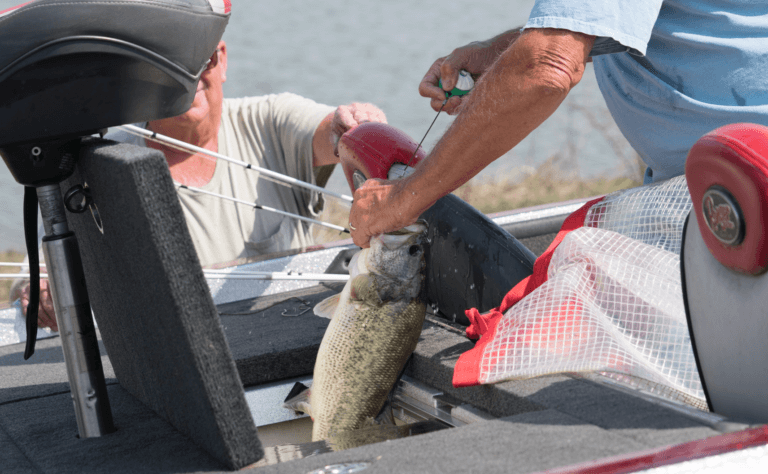 How to Build a Great Fishery | Part 7 – Ongoing Management