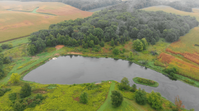 Property Review | 49 Acres in Stark County