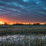 Land for Sale LandCo Farmland for Sale 2019-07-17 at 3.33.30 PM