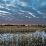 Land for Sale LandCo Farmland for Sale 2019-07-17 at 3.34.30 PM