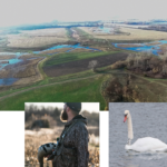 Land for Sale LandCo Farmland for Sale 2019-07-17 at 11.04.14 AM