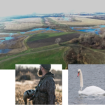 Land for Sale LandCo Farmland for Sale 2019-07-17 at 10.38.44 AM