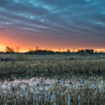 Land for Sale LandCo Farmland for Sale 2019-07-17 at 10.44.11 AM