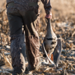 Land for Sale LandCo Farmland for Sale 2019-07-17 at 10.45.35 AM