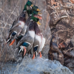 Land for Sale LandCo Farmland for Sale 2019-07-17 at 10.55.04 AM