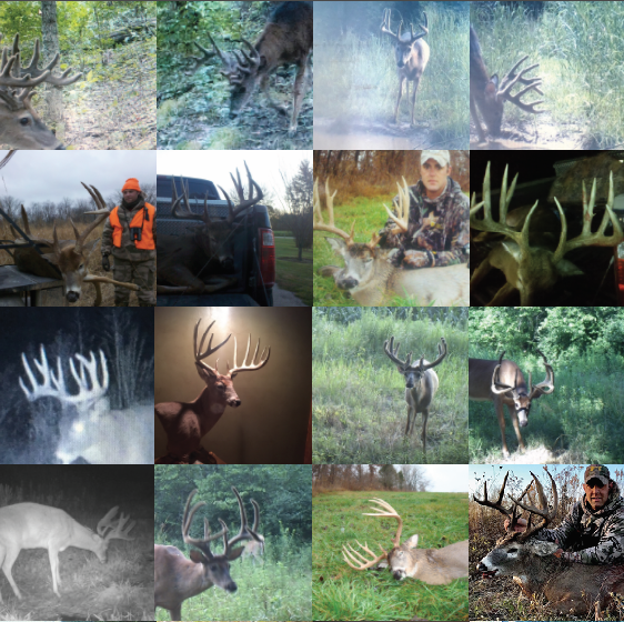 Land for Sale LandCo Farmland for Sale 2019-07-16 at 7.55.54 PM