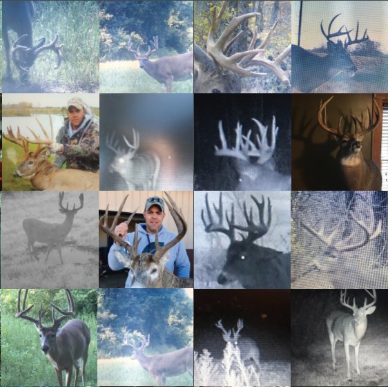 Land for Sale LandCo Farmland for Sale 2019-07-16 at 7.56.03 PM