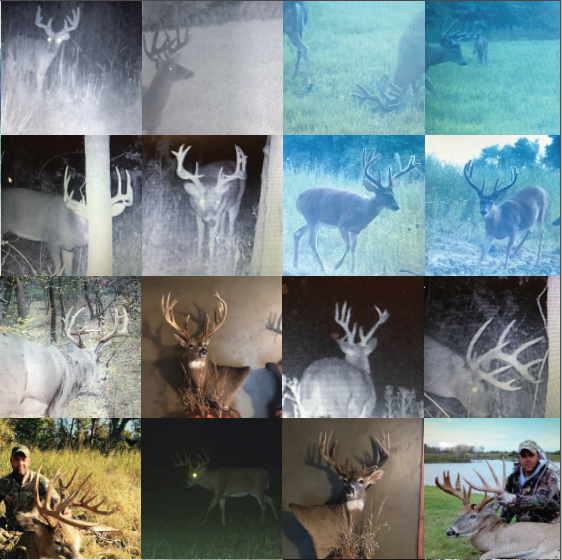 Land for Sale LandCo Farmland for Sale 2019-07-16 at 7.56.46 PM