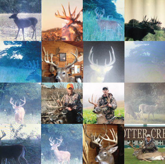 Land for Sale LandCo Farmland for Sale 2019-07-16 at 7.57.46 PM