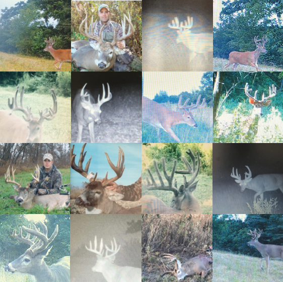 Land for Sale LandCo Farmland for Sale 2019-07-16 at 7.57.53 PM