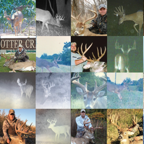 Land for Sale LandCo Farmland for Sale 2019-07-16 at 7.58.04 PM