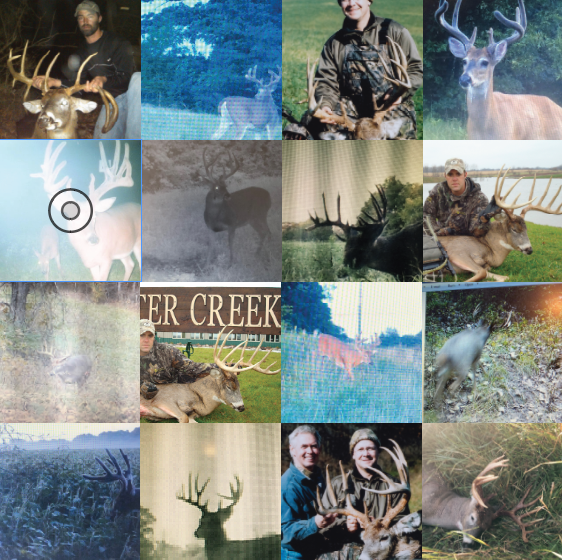 Land for Sale LandCo Farmland for Sale 2019-07-16 at 7.58.16 PM