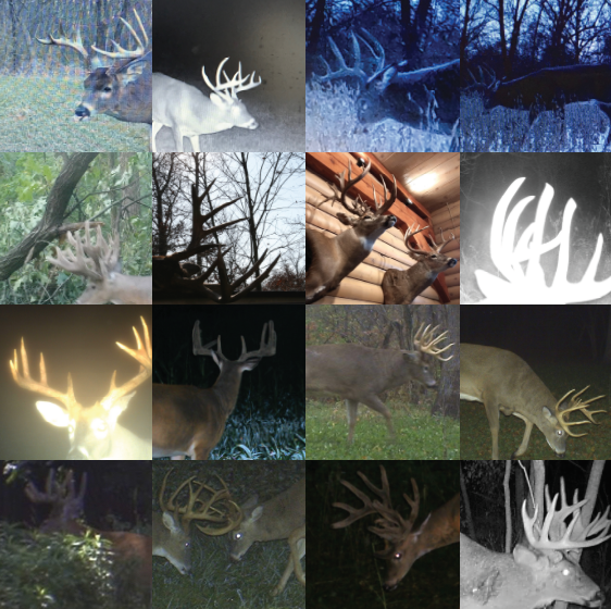 Land for Sale LandCo Farmland for Sale 2019-07-16 at 8.04.15 PM