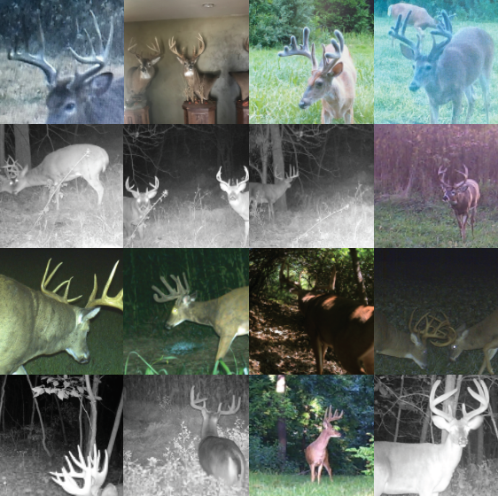 Land for Sale LandCo Farmland for Sale 2019-07-16 at 8.04.24 PM