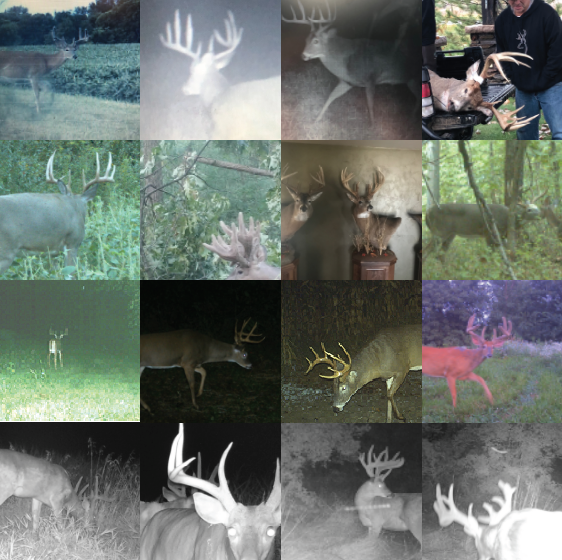 Land for Sale LandCo Farmland for Sale 2019-07-16 at 8.04.46 PM